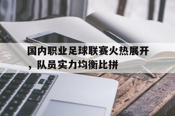 包含国内职业足球联赛火热展开，队员实力均衡比拼的词条